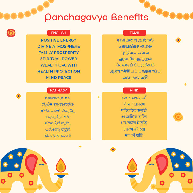 Panchagavya Vilakku – Natural Cow Dung Diya for Pooja, Spiritual Rituals & Positive Energy